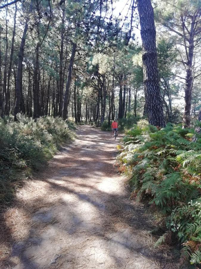 Apartamento Piso Collazo Illa de Arousa Exterior foto